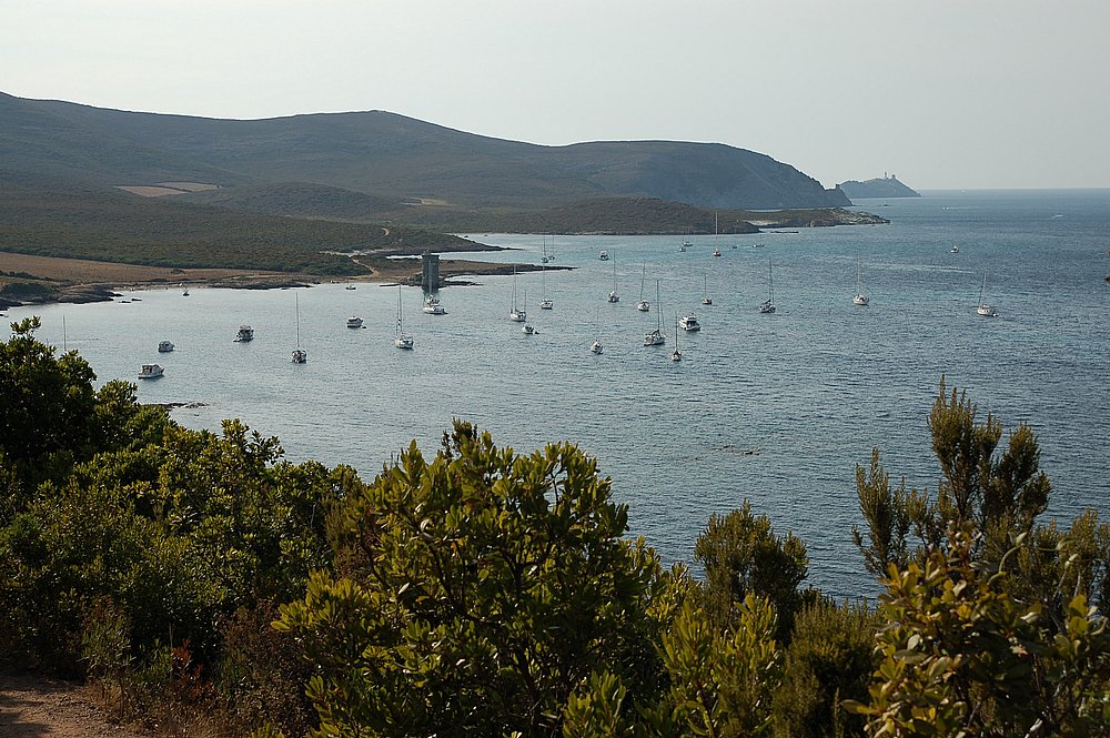 Cap Corse, kl. Wanderung nördl. v. d. Baie de Tamarone.JPG