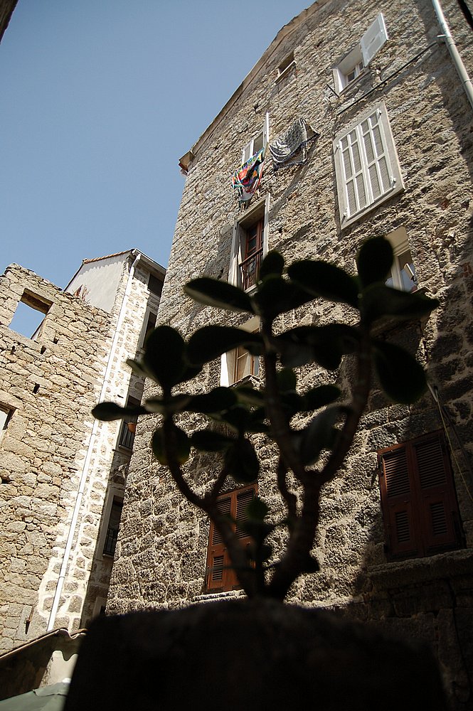 Sartène, noch ein Plätzchen in der Altstadt.JPG