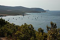 Cap Corse, kl. Wanderung nördl. v. d. Baie de Tamarone.JPG