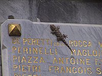 Gecko.JPG